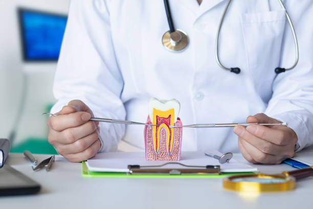Best Emergency Tooth Extraction in Bruceton, TN